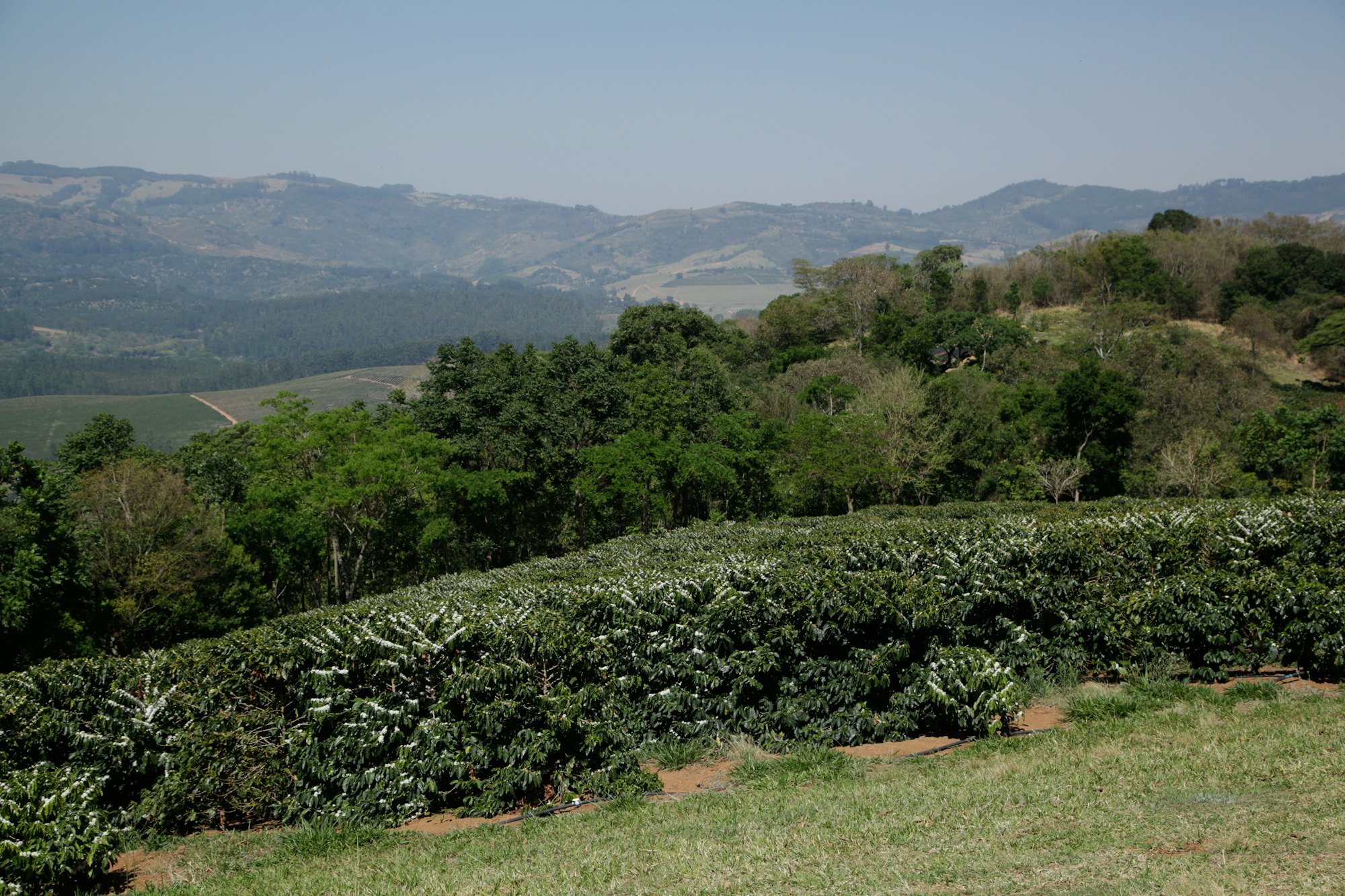 Kiambu